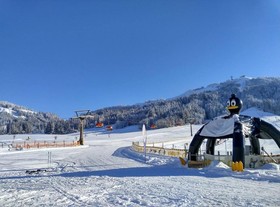 Ferienwohnungen Pillersee