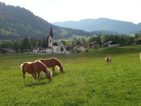 Ferienwohnungen Heidi und Johann Durst