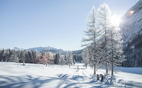 AlpenParks® Chalet & Apartment Alpina Seefeld