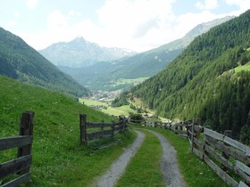 Erhart