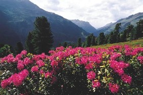 Ulli's Ferienheim