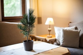 Natur Residenz Anger Alm