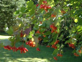 Appartements Vilsalp