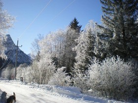 Zita