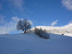 Landhaus Lexner