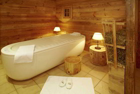 elaya hotel steinplatte