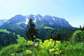 Holzner Pension