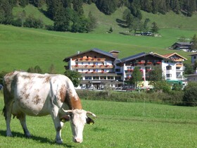 Wildauerhof