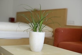 Talhof Hotel Garni & More