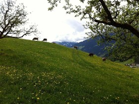 Hochfeldhof