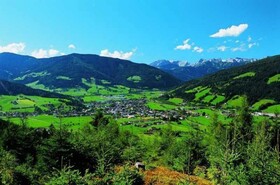 Markterwirt