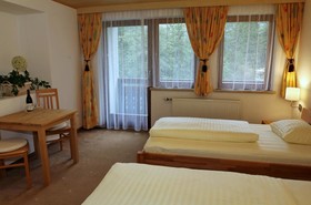 Hotel Alpenhaus Evianquelle