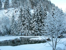 Hotel Alpenhaus Evianquelle