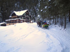 Kur-Camping & Appartementhaus Erlengrund