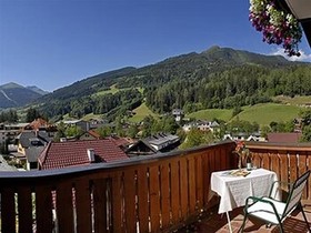 Hotel Alpina