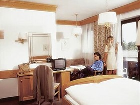 Hotel Alpina