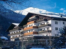 Hotel Alpina