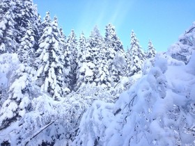 Impuls Tirol