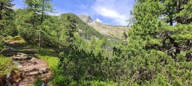 The Storks Art & Boutique Hotel Bad Hofgastein