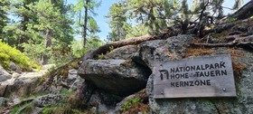 The Storks Art & Boutique Hotel Bad Hofgastein