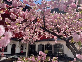 The Storks Art & Boutique Hotel Bad Hofgastein