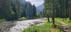 The Storks Art & Boutique Hotel Bad Hofgastein