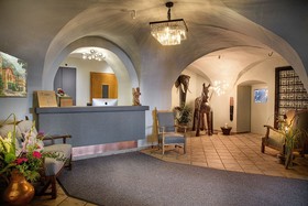The Storks Art & Boutique Hotel Bad Hofgastein