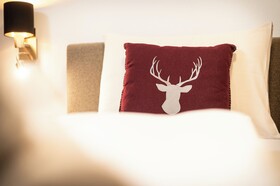 Wildbach Lodge Dienten