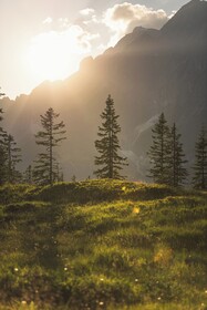 Wildbach Lodge Dienten