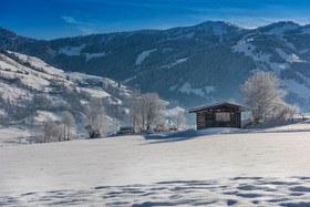 Die UnterbergerIn