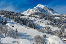 Die UnterbergerIn