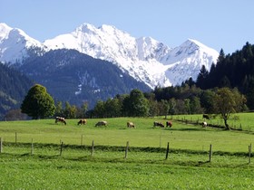Die UnterbergerIn