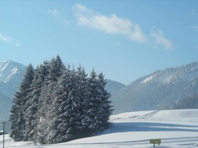 Gasthof Botenwirt