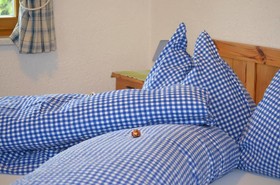 Haus Hochegg