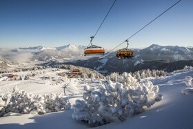 Almdorf Flachau Hütte
