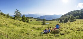 Almdorf Flachau Hütte