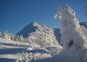 Almdorf Flachau Hütte