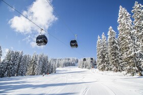 Almdorf Flachau Hütte