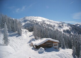 Almdorf Flachau Hütte