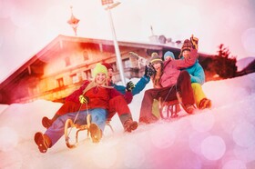 Alpenfex