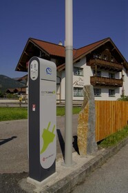 Alpenfex