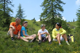 Harml's Aparthotel Flachau
