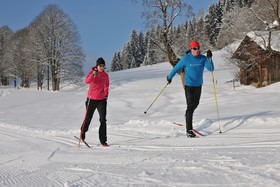 Harml's Aparthotel Flachau