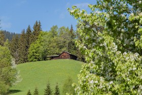 Hinteraigengut Landhotel