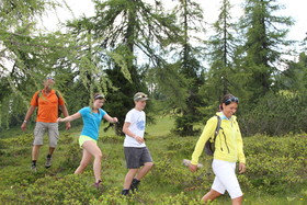 DIPS&DROPS – The First Bike And Ski Hub