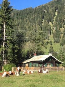 Knusperhauschen Sonnegg