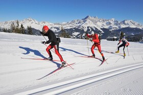 Sonnfeld