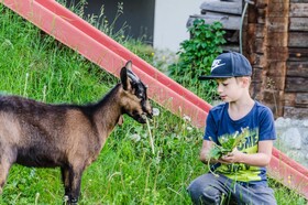 Sonnfeld