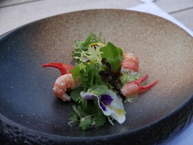 Brunnwirt Essen & Wohnen