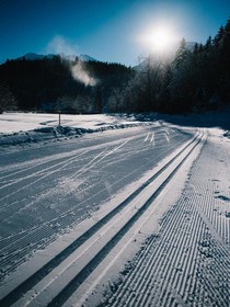 Der Seehof